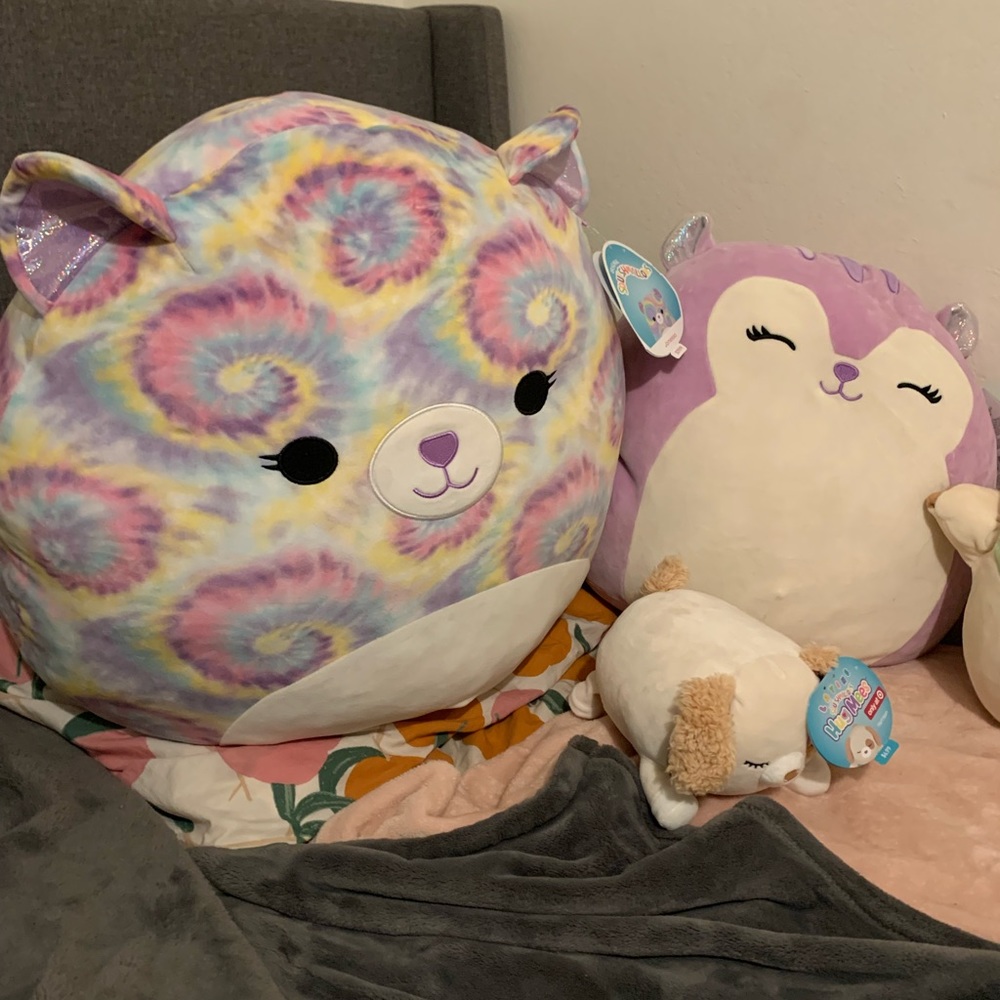 Squishmallows all new with tags on